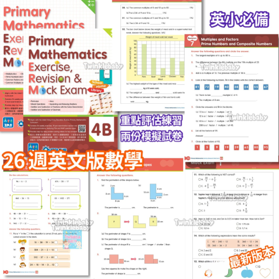 Master Mind - Primary Mathematics Exercise, Revision and Mock Exam (英文版數學科)